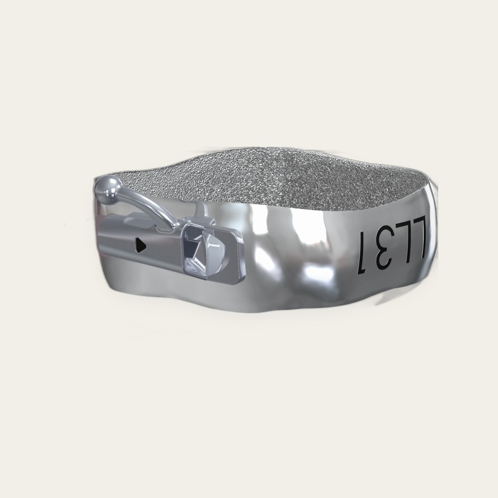 Integrity bicuspid bands — individual 4