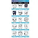 Dentibots - Amber Latex Elastics Class II Elastics - 50 bags of 100.webp
