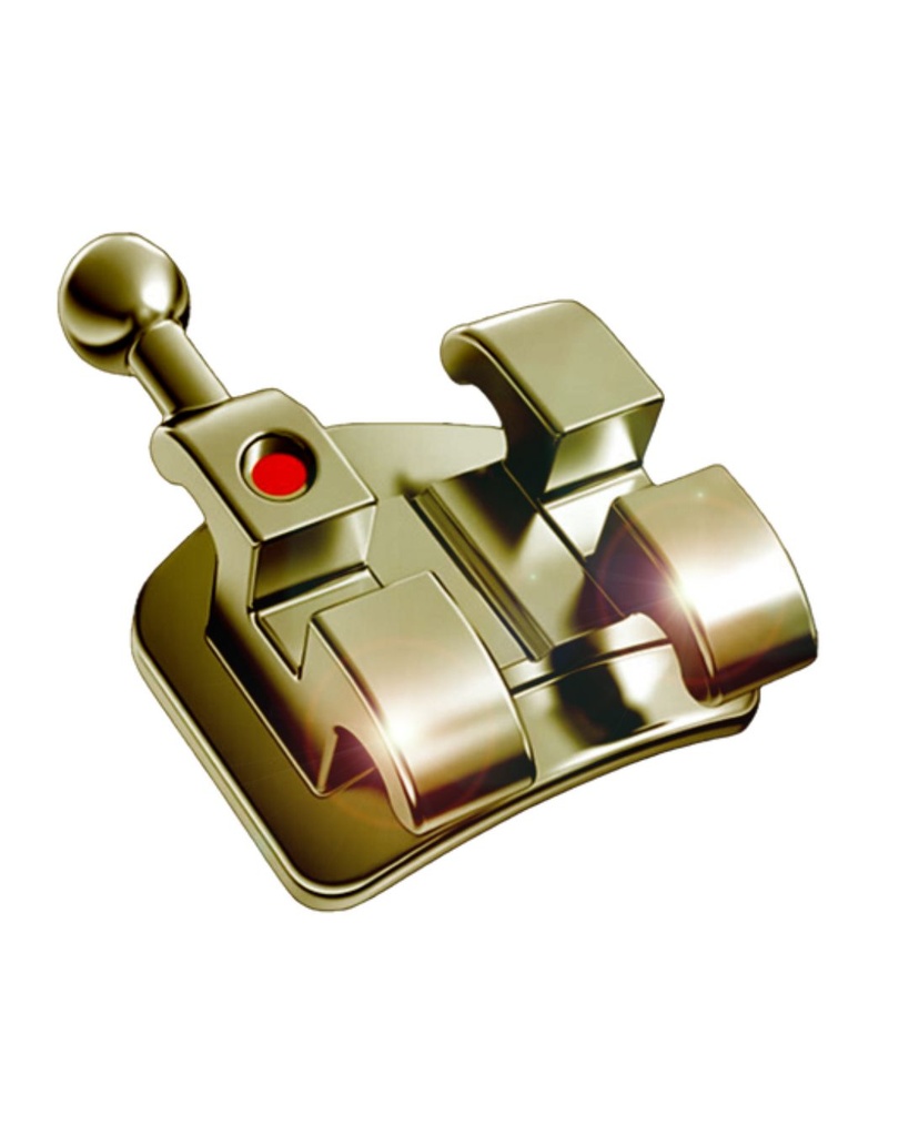 AU-Twin Gold Bracket