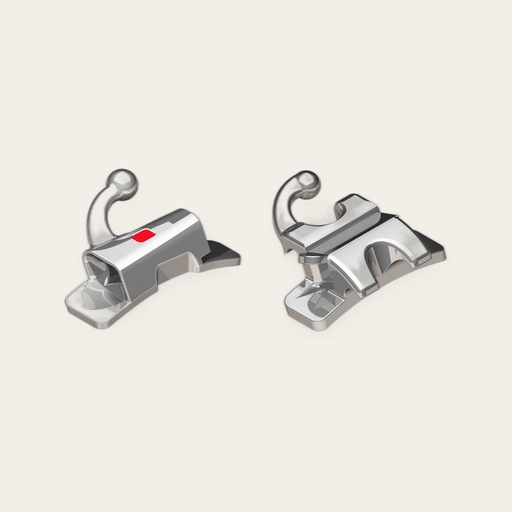 Apex — Buccal Tubes