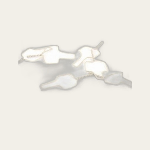 [LG-LIG-TIES-012] Pre-formed ligature ties